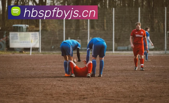 万搏app官网登录入口 - 万搏(中国)平台生态图